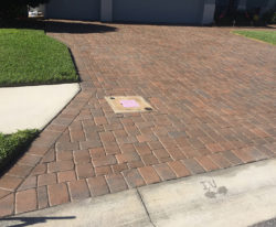 Brick Paver Sealed "after"