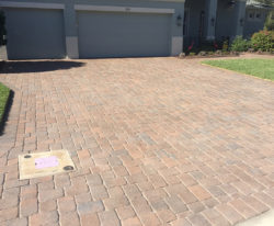 Brick Paver Sealed "before"