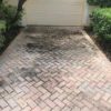 Moldy Pavers